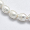 Natural Cultured Freshwater Pearl Beads Strands PEAR-K003-26B-3