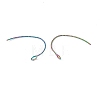 Rainbow Color Ion Plating(IP) 316 Surgical Stainless Steel Earring Hooks STAS-D183-04M-2