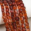 Natural Amber Beads Strands G-K426-A02-03-1