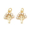 Brass Micro Pave Cubic Zirconia Charms KK-C162-036G-1