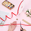 Polyester Ribbons OCOR-WH0082-534B-3