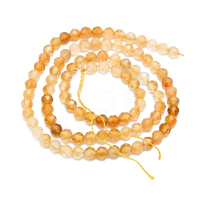 Natural Citrine Beads Strands G-P457-A03-22-1