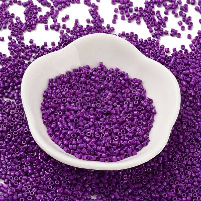 Baking Paint Glass Seed Beads X-SEED-S042-05B-73-1