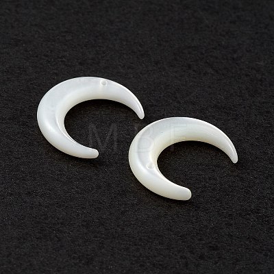 Natural White Shell Beads SSHEL-M021-14-1