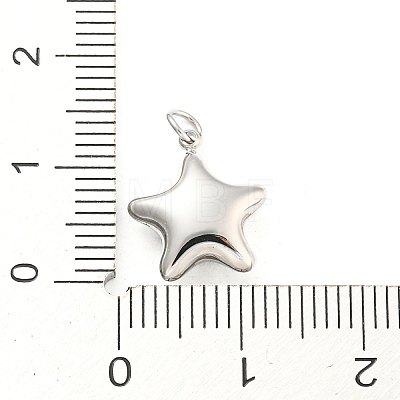 304 Stainless Steel Charms STAS-P333-07P-1