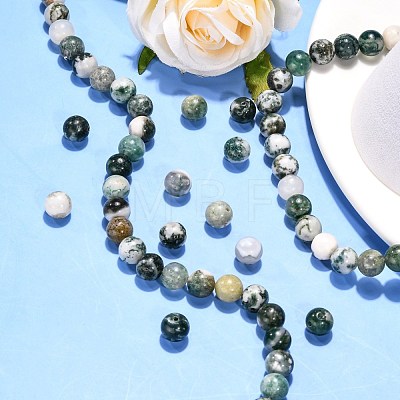 Natural Tree Agate Beads Strands X-G-H1633-8MM-1