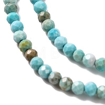 Natural Howlite Beads Strands G-C025-02A-06-1
