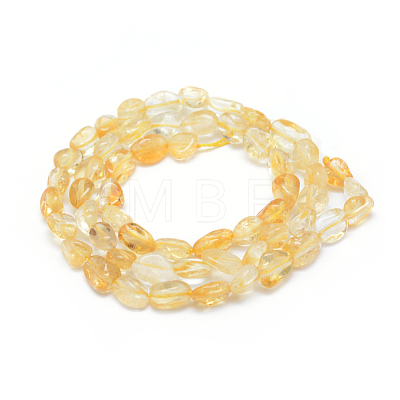 Natural Citrine Beads Strands G-P331-03A-1