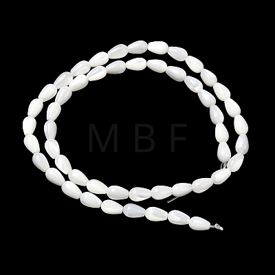 Natural White Shell Beads Strands SH-CBAF49A-03-1