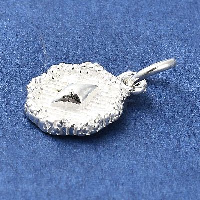Sterling Silver Charms STER-E070-03F-1