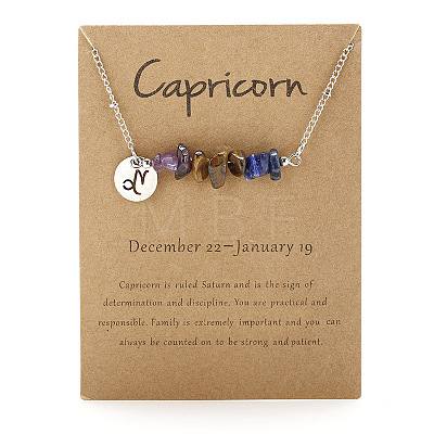 667 Stainless Steel with Natural Amethyst & Natural Tiger Eye & Natural Lapis Lazuli Chip Pendant Necklaces FS-WGFED6E-05-1