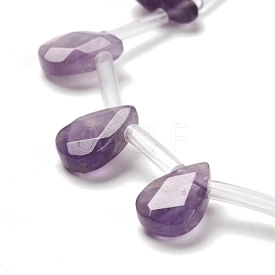 Natural Amethyst Beads Strands G-Q167-A04-01-1