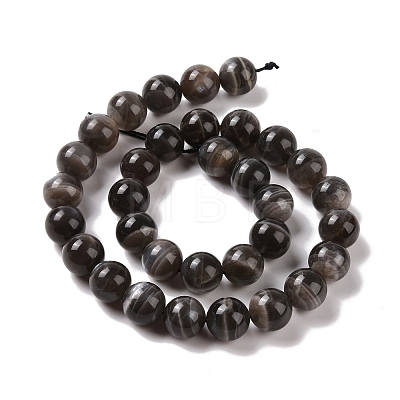 Natural Black Moonstone Beads Strands G-J157-12mm-05-1