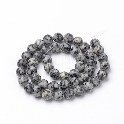 Natural Black Spot Stone Beads Strands G-S272-05-4mm-1