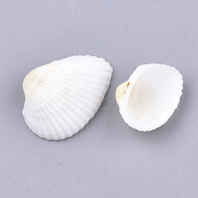 Clam Shell Beads SSHEL-S258-48-1