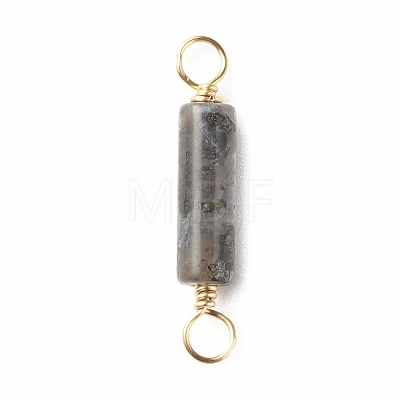 Natural Larvikite Connector Charms PALLOY-JF01454-05-1