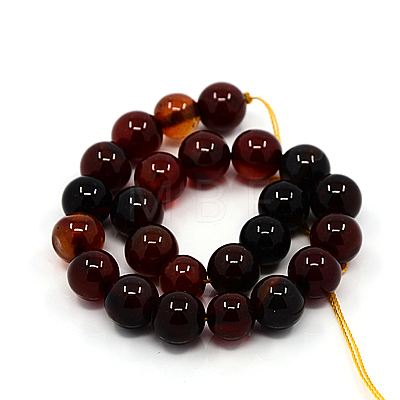 Natural Agate Beads Strands G-G515-10mm-04-1