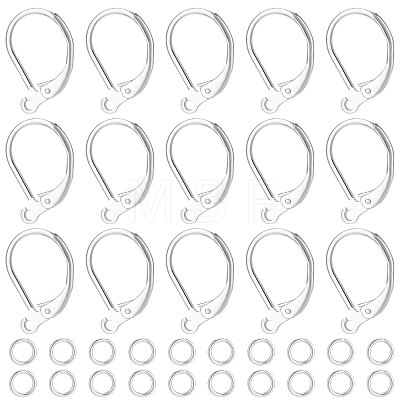 20Pcs 2 Style Brass Leverback Earring Findings with Loop DIY-BBC0001-02S-1