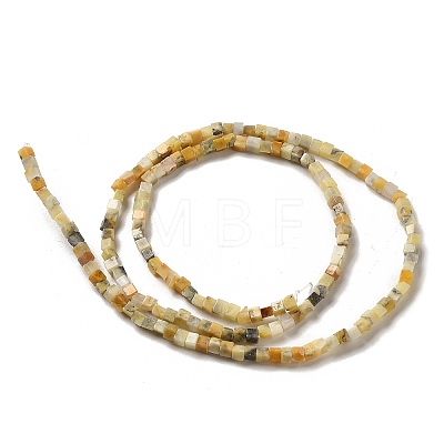Natural Crazy Agate Beads Strands G-B064-A03-1