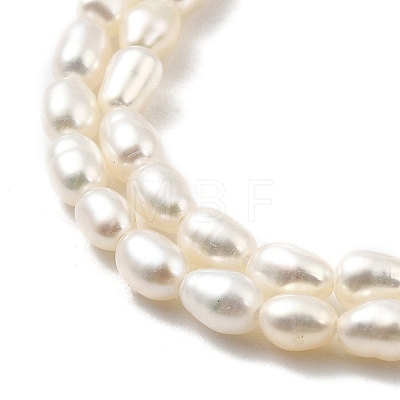 Natural Cultured Freshwater Pearl Beads Strands PEAR-I007-01L-04-1