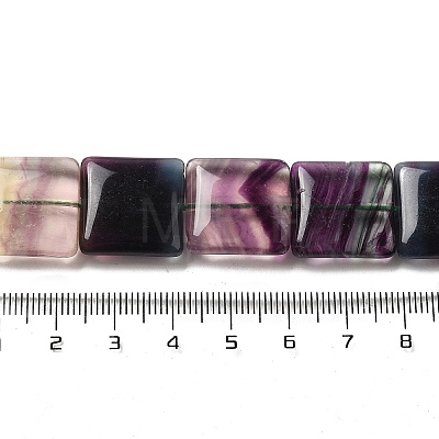 Natural Fluorite Beads Strands G-Z047-B02-03-1