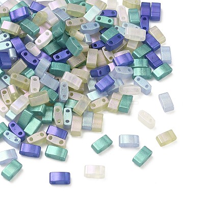 Glass 2-Hole Baking Paint Glass Seed Beads GLAA-G130-01E-1