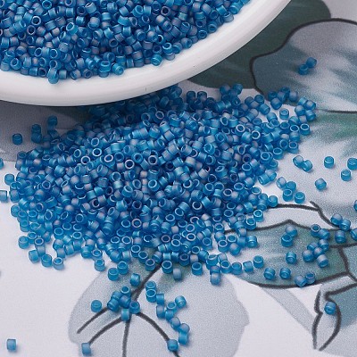 MIYUKI Delica Beads X-SEED-J020-DB0862-1