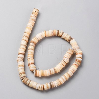 Natural Freshwater Shell Beads Strands SHEL-C001-05-1