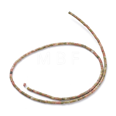 Natural Unakite Beads Strands G-H255-13-1