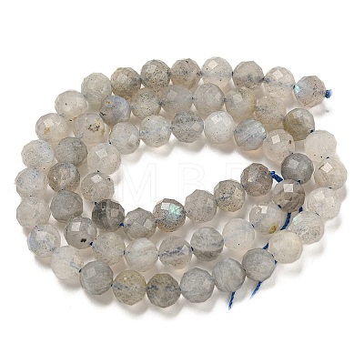 Natural Labradorite Beads Strands G-G140-A21-09A-1