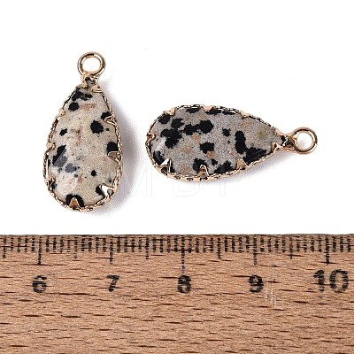Natural Dalmatian Jasper Faceted Pendants G-Q606-104G-05-1