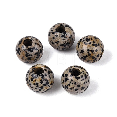 Natural Dalmatian Jasper European Beads G-Q602-09C-08-1