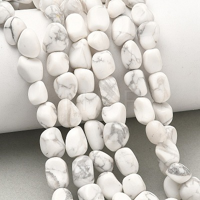 Natural Howlite Beads Strands G-C286-A20-1