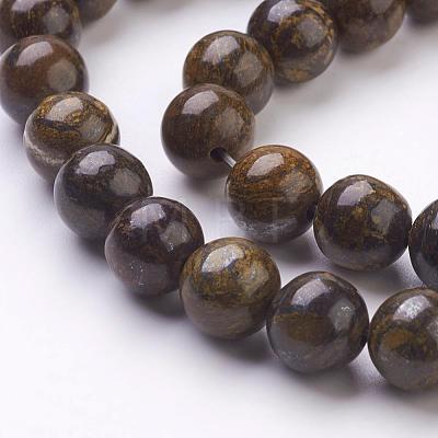 Natural Bronzite Beads Strands G-Q605-25-1