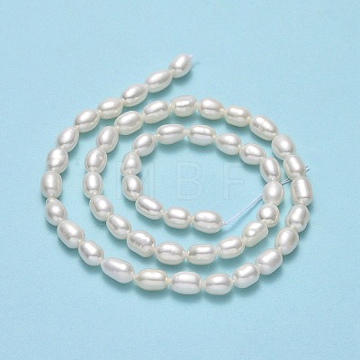 Natural Cultured Freshwater Pearl Beads Strands PEAR-J006-17C-01-1