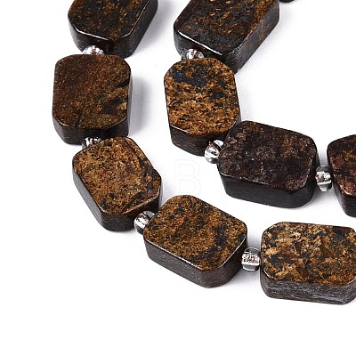 Natural Bronzite Beads Strands G-C098-A39-01-1