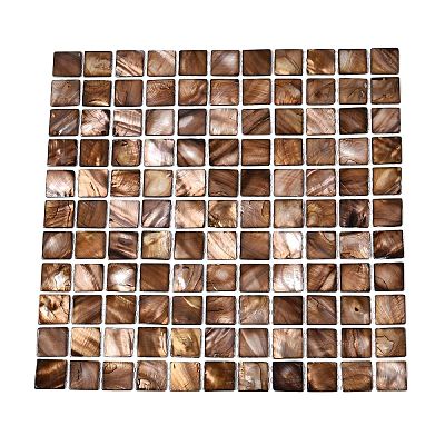 Natural Freshwater Shell Mosaic Tile Cabochons SHEL-Q029-09-1