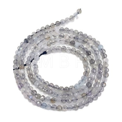 Natural Labradorite Beads Strands G-I341-11B-1
