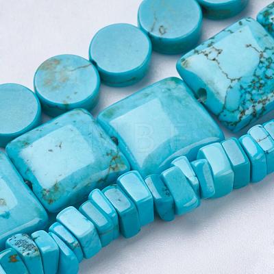 Natural Magnesite Beads Strands TURQ-K003-09-1