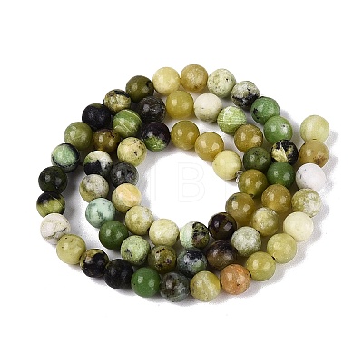 Natural Serpentine Beads Strands G-Q616-07B-1