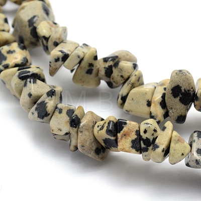 Natural Dalmatian Jasper Beads Strands X-G-P332-20-1