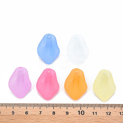 Transparent Frosted Acrylic Pendants MACR-S371-03A-1