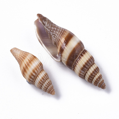 Natural Spiral Shell Beads SSHEL-S258-91-1