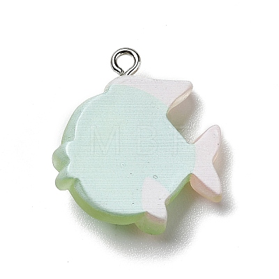 Opaque Resin Pendants X-RESI-D055-095P-1