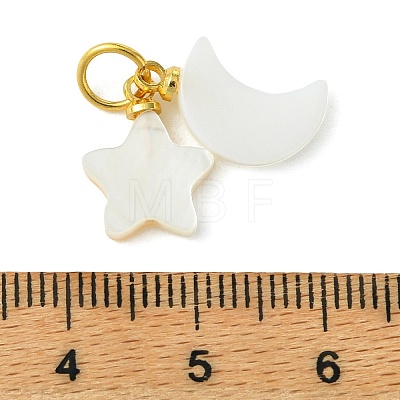 Natural Freshwater Shell Pendants PALLOY-JF05399-1