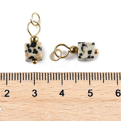 Natural Dalmatian Jasper Pendants STAS-Z129-01G-06-1