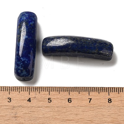 Natural Lapis Lazuli Connector Charms G-G095-01A-1