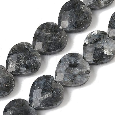 Natural Larvikite Beads Strands G-A309-A18-01-1