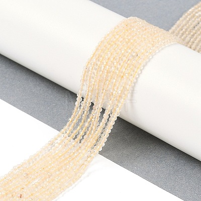 Natural Citrine Beads Strands G-P542-A02-01-1