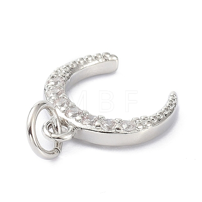 Brass Cubic Zirconia Charms ZIRC-C022-12P-1